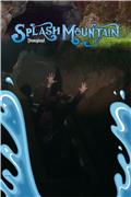 Splash Mountain attraction photo