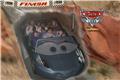 Radiator Springs Racers