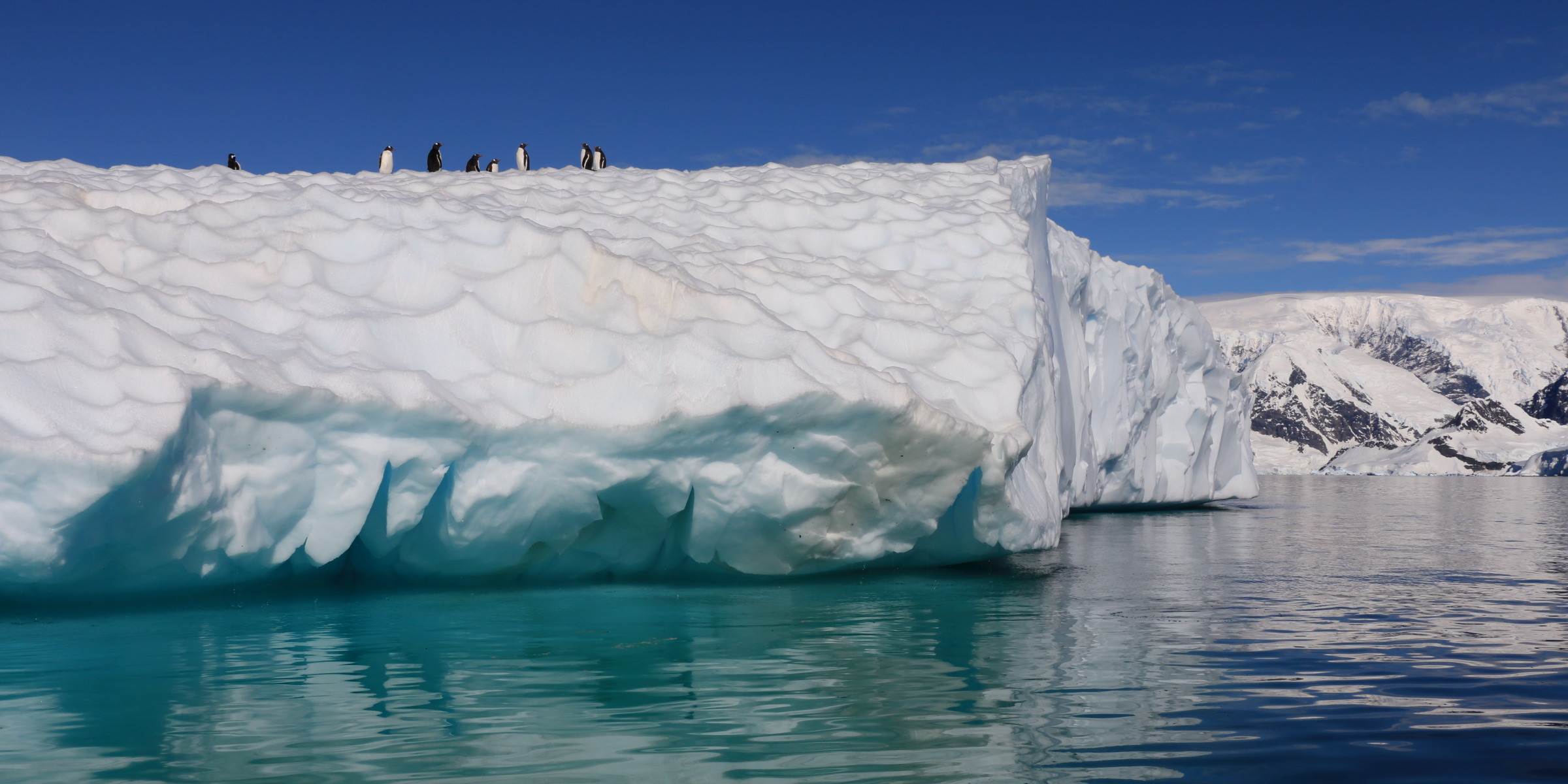 2014 Patagonia/ Antarctica: Antarctica